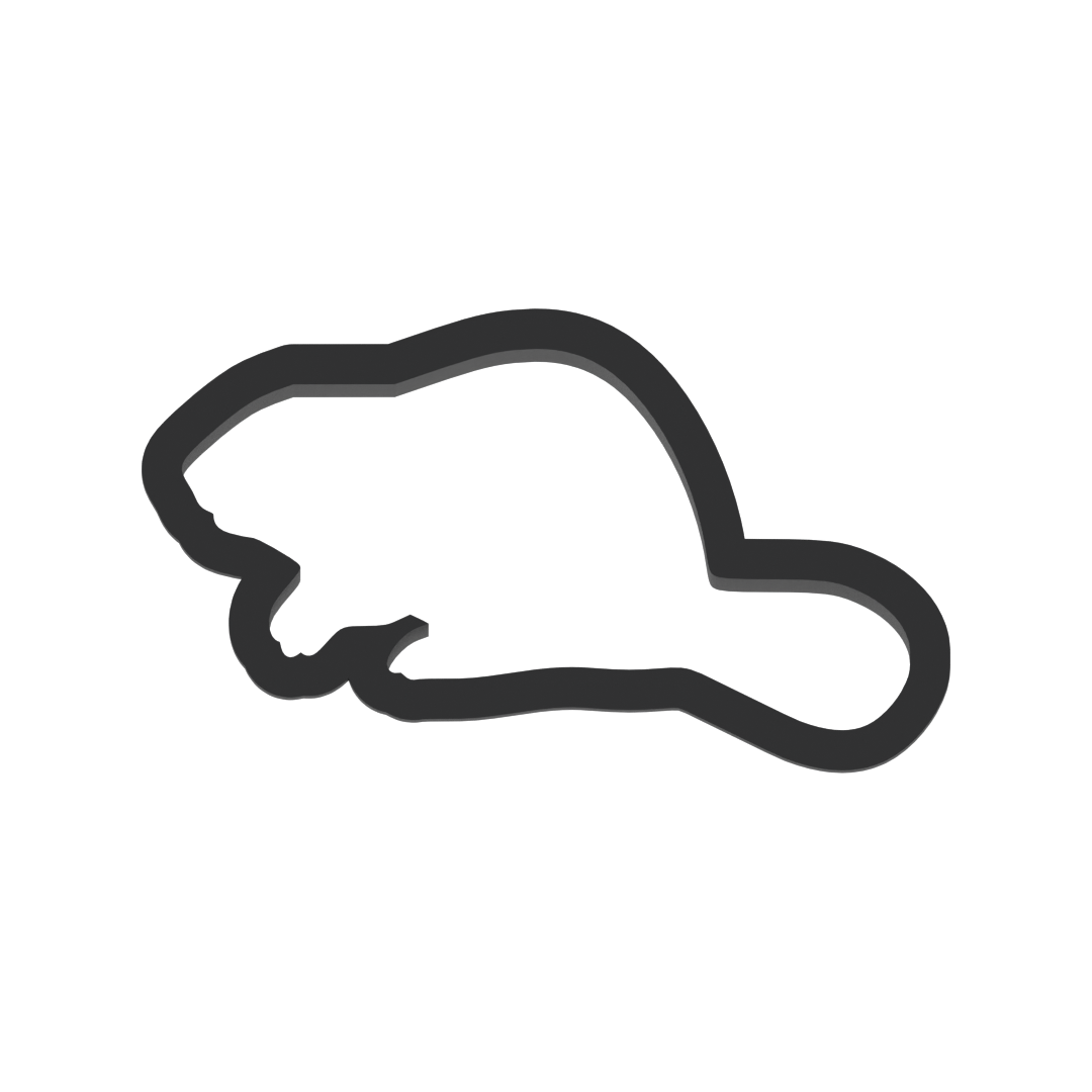 Beaver Cookie Cutter with Easy Push Design — photo 3