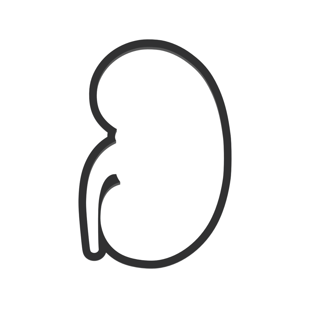 Kidney Cookie Cutter with Easy Push Design — photo 3