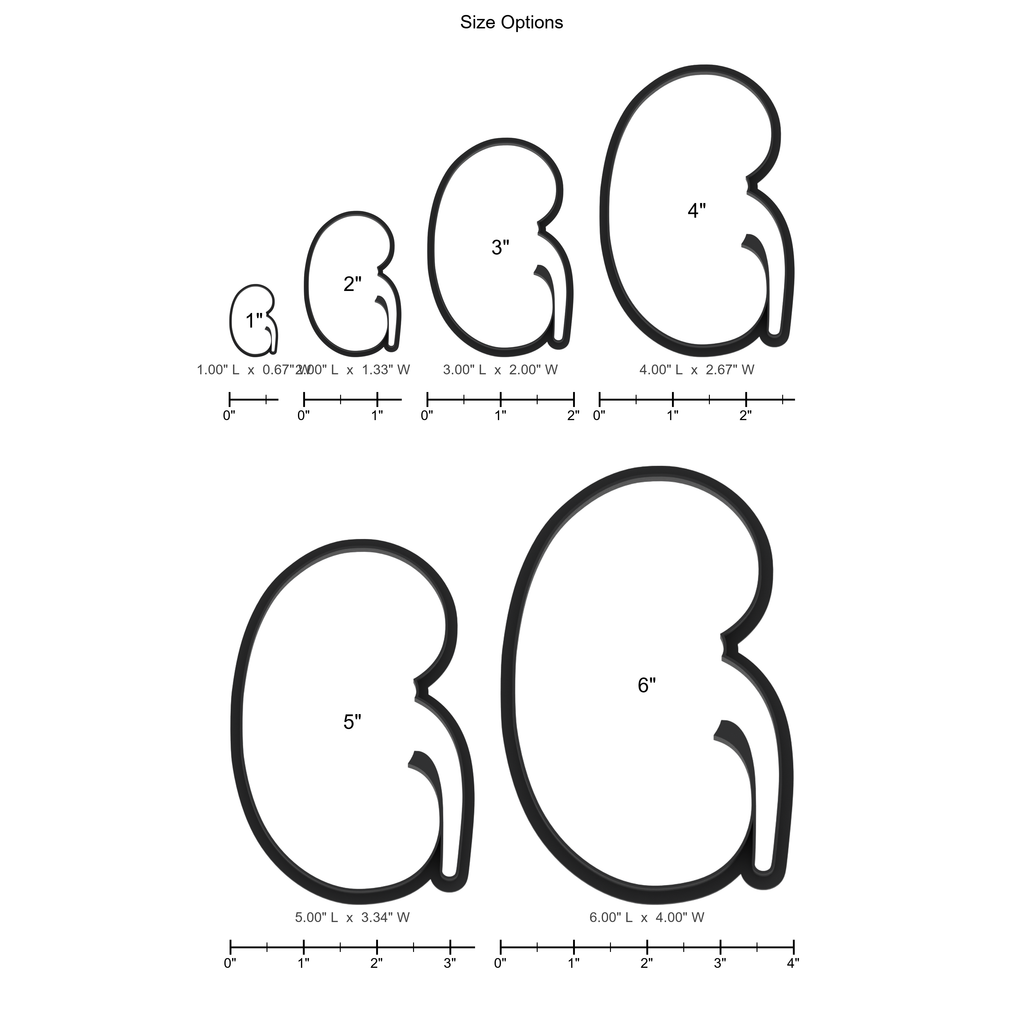 Kidney Cookie Cutter with Easy Push Design — photo 5