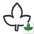Leaf Cookie Cutter with Easy Push Design — main photo