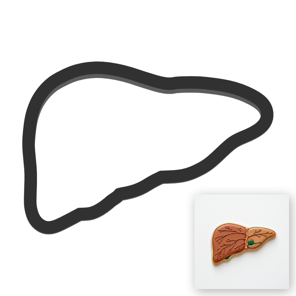 Liver Cookie Cutter with Easy Push Design — main photo