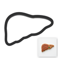 Liver Cookie Cutter with Easy Push Design — main photo