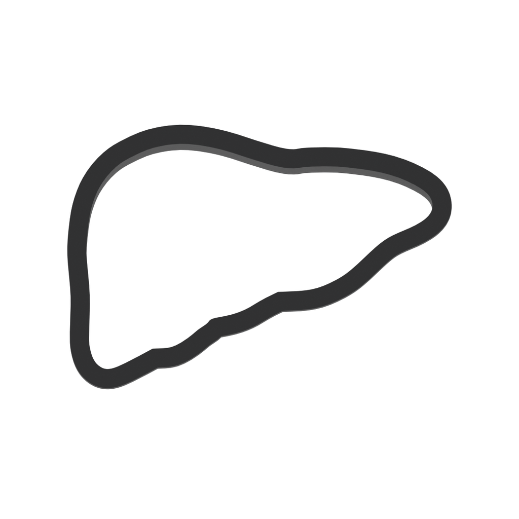 Liver Cookie Cutter with Easy Push Design — photo 3