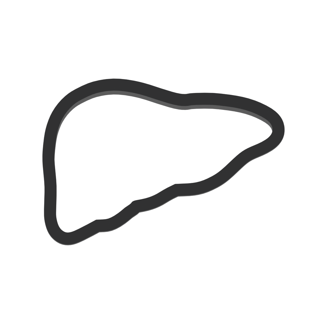 Liver Cookie Cutter with Easy Push Design — photo 3