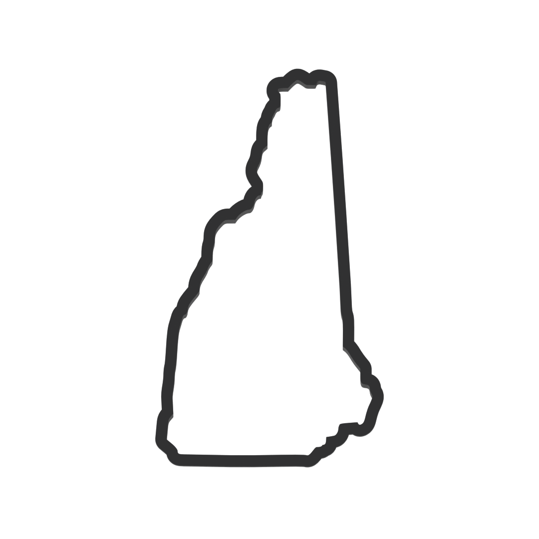 New Hampshire State Cookie Cutter with Easy Push Design — photo 3