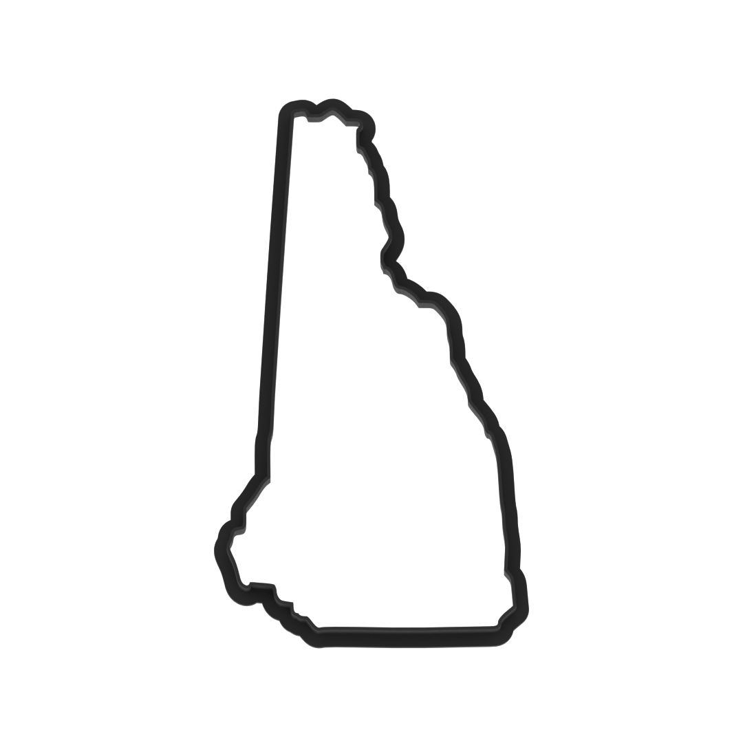New Hampshire State Cookie Cutter with Easy Push Design — photo 5